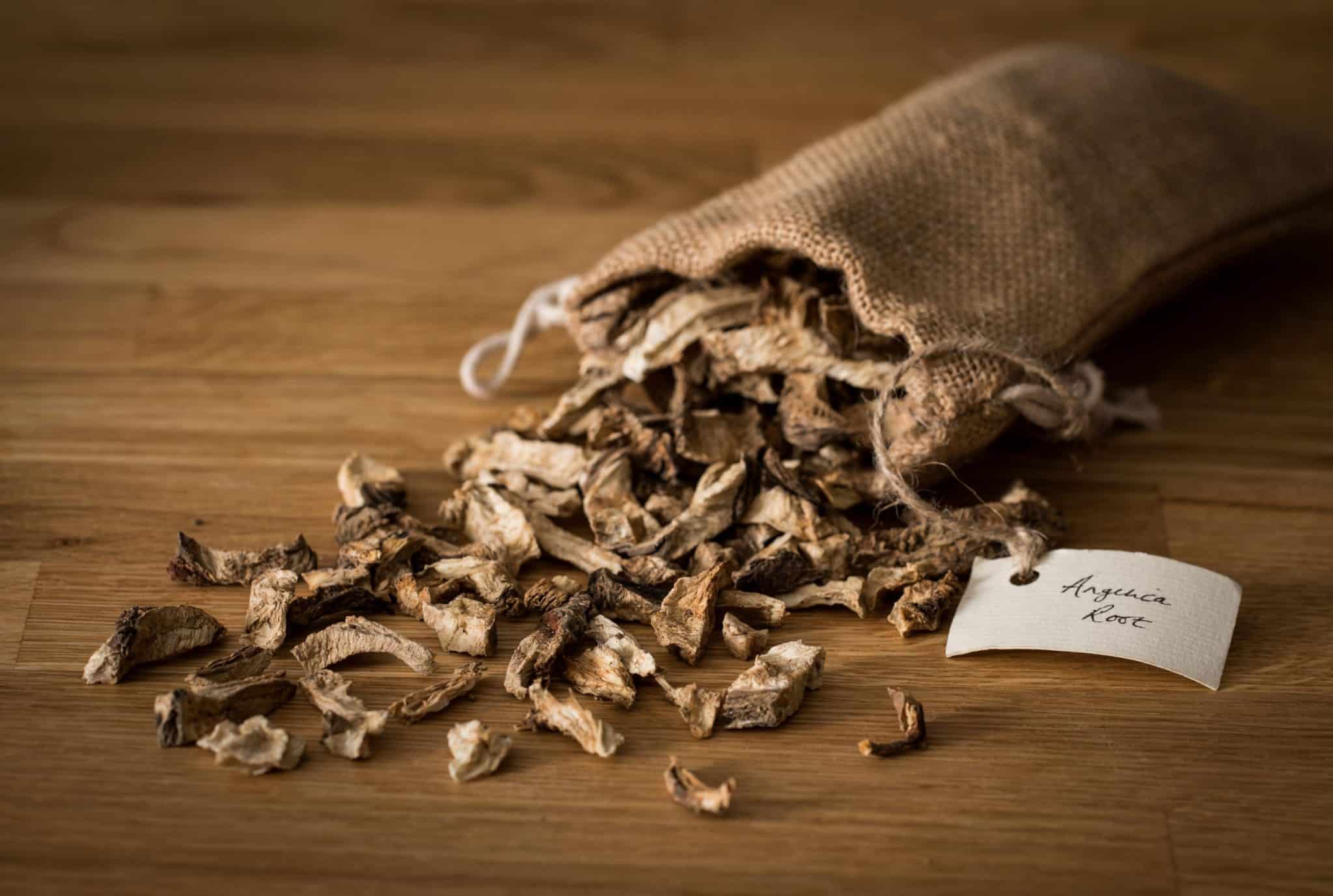 Angelica Root Angelica Root