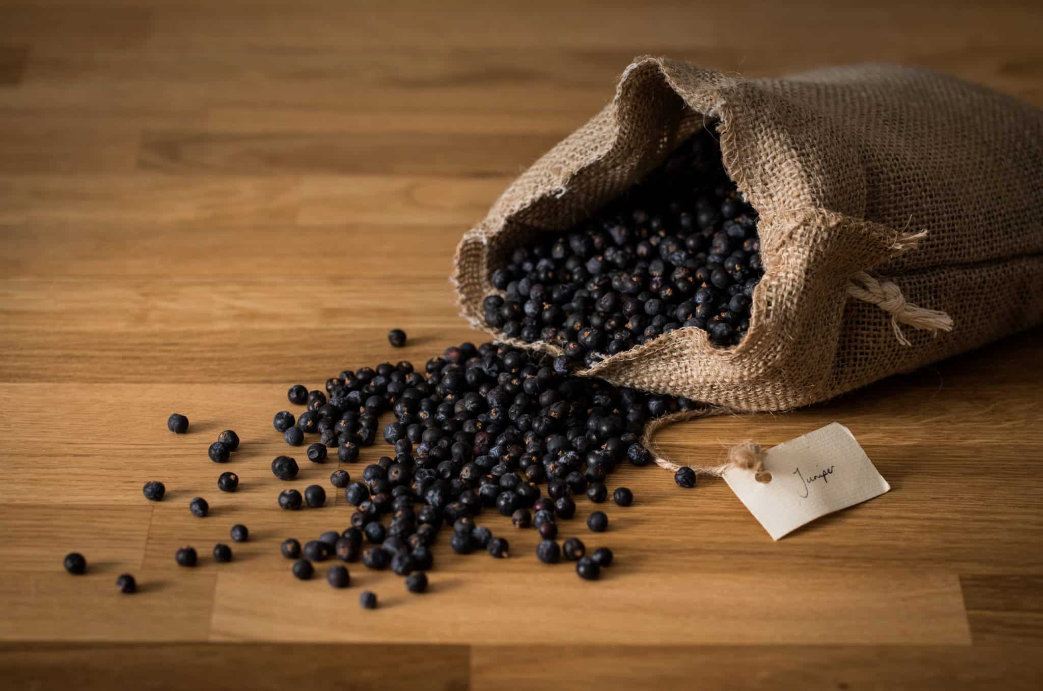 Juniper Juniper berries