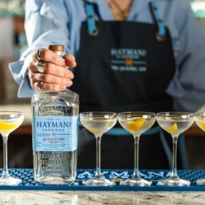 Hayman's London Dry gin with martinis