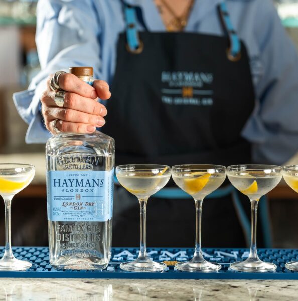 Hayman's London Dry gin with martinis