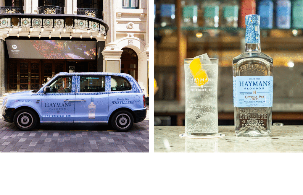 Haymans London Dry Gin, a Gin and Tonic
